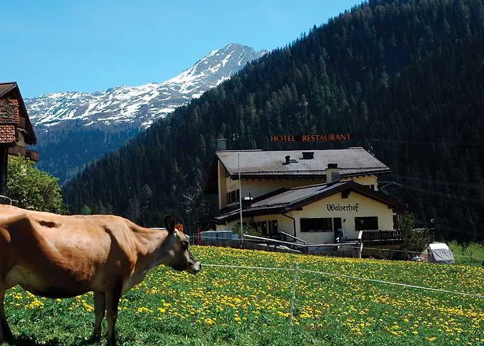 Restaurant Walserhof Otel Medels Im Rheinwald