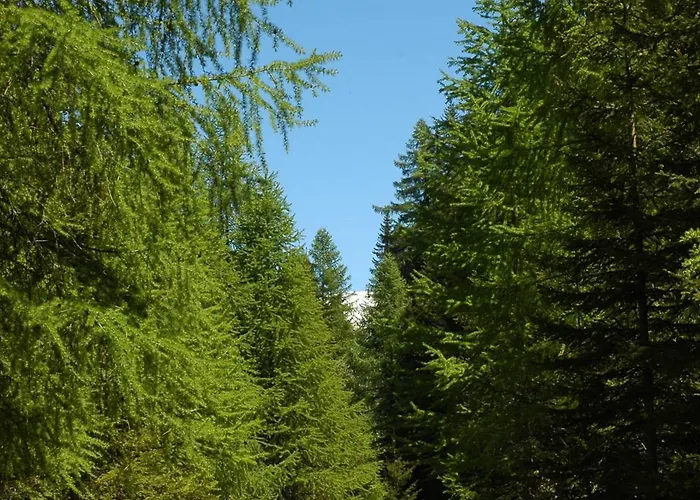 Restaurant Walserhof