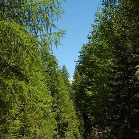 Restaurant Walserhof